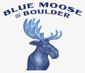 Blue Moose Of Boulder