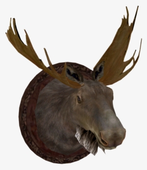 Mounted Moose Head - Moose Zt2 Download Library