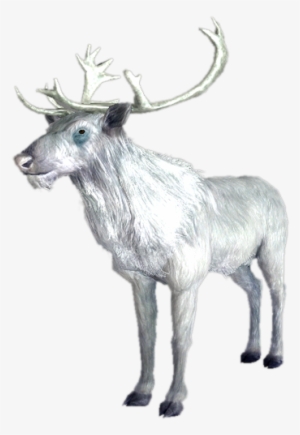White Stag - Skyrim White Deer