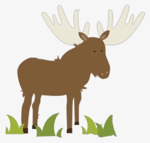 Great Outdoors Cartoon