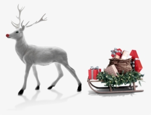 Christmas Moose Gift Christmas Car Vector