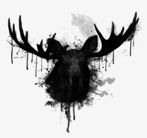 Click And Drag To Re-position The Image, If Desired - Nicklas Gustafsson