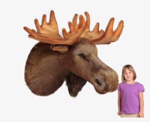 "mariner" Moose Head Wall Mount - Stuffed Plush Moose