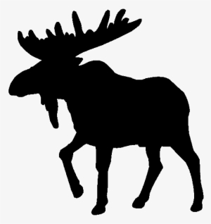 Moose - Moose Clipart