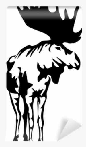 Moose
