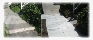 Repair Of Sidewalk Defects That Are Not Caused By A - Walkway