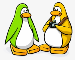 Community Penguins - Club Penguin