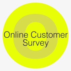 Service 1 Online Customer Survey