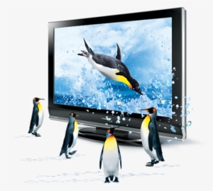 3d - Penguins - Penguins