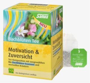Salus Organic Bach Flower Tea Motivation & Confidence,