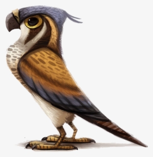 Falcon - Peregrine Falcon Drawing Cartoon