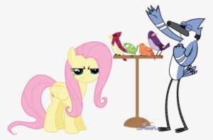 Lastsecondhero, Bird, Blue Jay, Constance, Crossover, - Horse