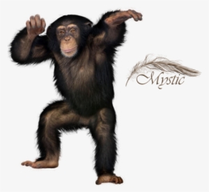 Liked Like Share - Animals With White Background