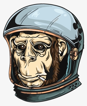 Space Chimp