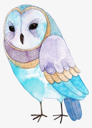Hand-painted Colored Sprout Owl Png Transparent Material - Art Print: Sem's Watercolor Funny Kids Illustration