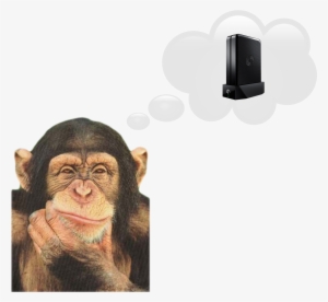 What Is A Nas And Why Do I Need One - Rough Guide To Evolution