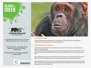 7 Oct - Environmental Health: Human Welfare In Present Scenario