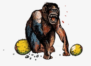 Gorilla Monkey Common Chimpanzee