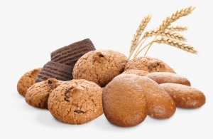 Principles Of Agriculture, Food, And Natural Resources