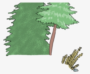 The Paleozoic - Christmas Tree