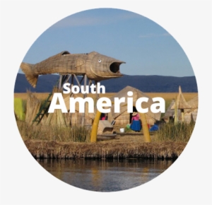 South America Circle - Freshwater Marsh
