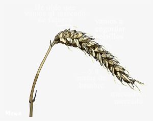 Metafísica Del Trigo - Sweet Grass