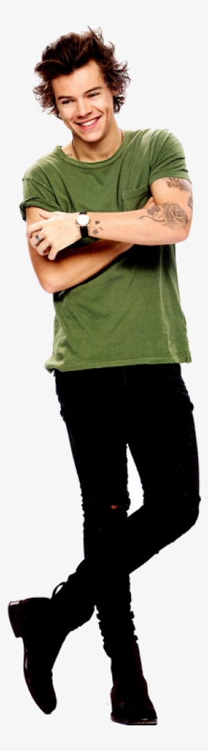 I Love Harry Styles - Harry Styles Transparent Png