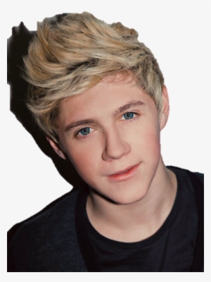 James Horan - One Direction Niall 2014