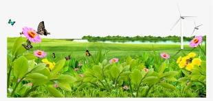 Meadow Lawn Wallpaper Lake - Nature Flower Png Background