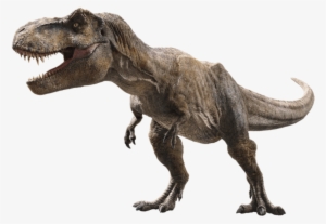 Jurassic World Fallen Kingdom Tyrannosaurus V3 By Sonichedgehog2-dcb00cn - Jurassic World Fallen Kingdom Dinosaurs Png