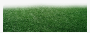 Pasto Y Estadios Png Para Walls - Lawn