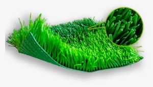 Nosotros - Artificial Turf