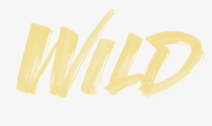 Visit - Troye Sivan Wild Album Art