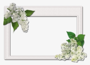 Flower Frame Image Hd