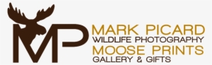 Moose Prints Logo - Graphic Design