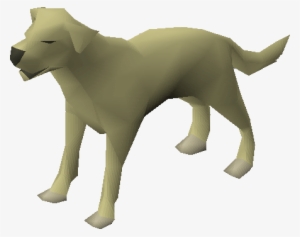 Dog - Wiki