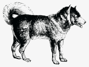 , , - Dog: Adults Coloring Book Vol.4: An Adult Coloring