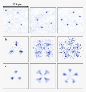 Sorting The Experimental Pictures According To The - Drag