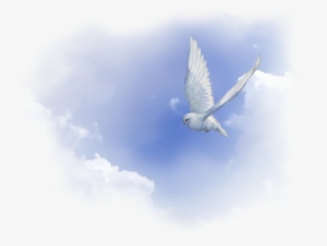 5- El Espíritu Santo - Espíritu Santo En Png