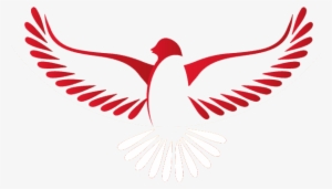 Imagem Espirito Santo Png - Gold Laurel Wreath Vector