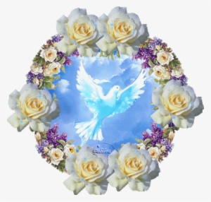 Imagenes Del Espiritu Santo