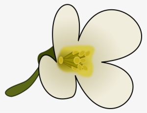 This Free Icons Png Design Of Thaliana Flower