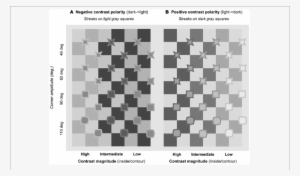 Streaks In Negative Contrast Polarity Oriented Diagonally - Alfil Y Sus Movimientos