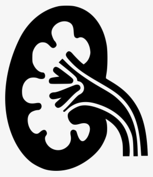 Png File Svg - Kidney Png Black