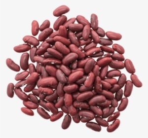 Free Png Kidney Beans Png Images Transparent - Kidney Bean