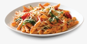 Pasta44 - Penne Rosa Noodles And Company