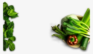 Superb, Fresh Italian Food - Cháo Ăn Dặm Mabu