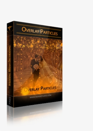 Vector Transparent Download Matte Pack Nera Studio - Particle