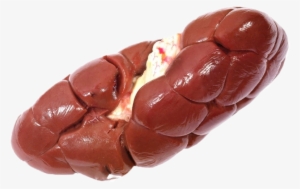 Kidney - Cow Kidney Png