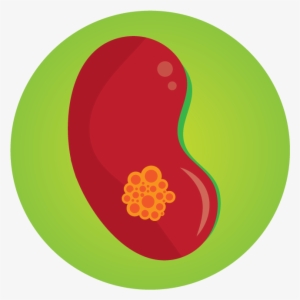 Kidney Injury - Circle